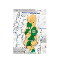 A map depicts the location of herd management areas in related to Battle Mountain, Nevada.
