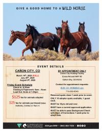 2025 Canon City BLM Wild Horse Adoption Flyer
