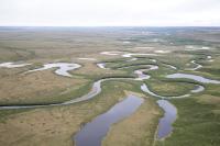 Rivers wind through flat, grassy land.