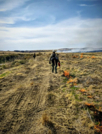 A person in a hard hat and black backpack ignites fire on open grassland with a driptorch