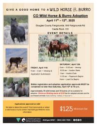 2025 Castle Rock Wild Horse & Burro Adoption