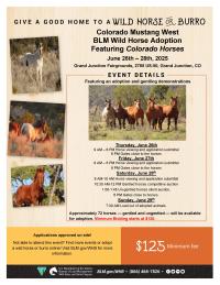 2025 Grand Junction Wild Horse Adoption Flyer