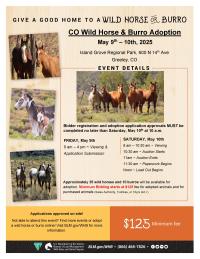 2025 Greeley Wild Horse and Burro Adoption Flyer