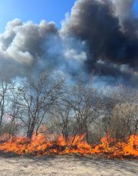 A prescribed burn at Laughlin Airforce Base, TX. Photo by Niles Ludlow, BLM Fire
