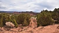 Uintah County