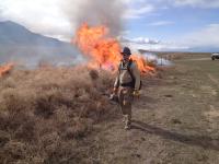 A firefighter in yellow nomex and hard hat carries a drip torch along a brush-covered fence. Orange flames rise into the blue sky behind him.