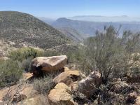 Landscape of the southern California desert