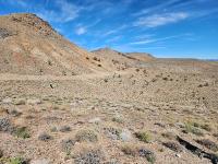 A high desert mountain ridge with Joshua Trees and a blue  sky