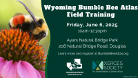 Wyoming Bumble Bee Atlas Field Training. 
