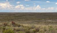 A landscape view of grass in Kemmerer, WY.