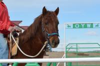 BLM-WY-2025HonorFarm