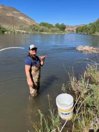 A woman wearing waders and a baseball cap faces the camera and smiles while standing knee deep in the water near the riverbank. In the foreground are plants growing at the water’s edge and a white bucket used to gather crayfish. In the background, on the other side of the river, are green trees and brownish-green hills.  