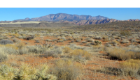 Sage brush is pictured in the foreground extending back mountains in the background