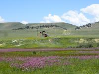 BLM-WY-RockRiverOilfield.McFadden