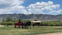 Community members enjoyed a day of learning, connection, and celebration during the BLM’s wild horse and burro adoption event at Deerwood Ranch Public Off-Range Pasture on June 14, 2025. 