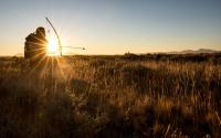 A photo of a person with a bow and arrow on public lands, backlit by the sun.