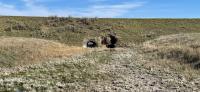 Photo showing the collapsing 4-feet-wide culverts near the 8-mile mark of Dry Fork Road in south Phillips County, Montana.  