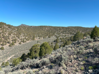 A wide view of a high desert landscape in Panguitch Valley, Utah, showing dense pinyon-juniper woodland interspersed with sagebrush. Rolling hills and a distant mesa are visible under a bright blue sky.
