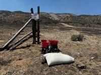 Suppression repair helps to minimize erosion, which can hinder regrowth and water absorption.