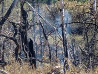 Light, individual smokes may be visible within the fire perimeter as crews continue to repair suppression lines.