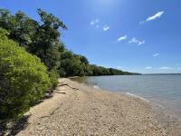 photo showing shoreline with brown-gray sandy rocks and bushy green trees below a clear blue sky