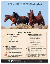 a by appointment only wild horse and burro adoption event at Cañon City Holding Facility, Evans Rd and HWY 50, Cañon City, CO 81212, on July 25, Aug. 8 and Sept 26. contact BLM_CO_WHB@blm.gov 719-269-8549 to reserve one of ten slots