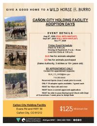 a poster about a wild horse adoption being held July 25, Aug. 8, and Sept. 26, 2025, by appointment only at the Canon City Holding Facility in Colorado.