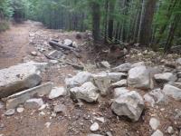 Large rocks and debris in a forested path