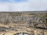 Light, individual smokes are visible within the fire perimeter