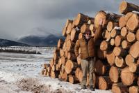John Markalunas, a former fire management officer with the Bureau of Land Management and the U.S. Forest Service, was one of the individuals who implemented the use of the Good Neighbor Authority to complete fuels treatments on Poncha Pass. Here, he stands next to a pile of salvaged timber resulting from that project.