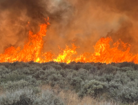 20-foot flames rise from shrubs