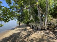 Person with backpack standing on a pebbled shoreline under leafy trees beside calm water on a sunny day.