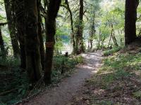 trail to Quartzville Creek at Yellowbottom Recreation Site