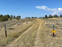  Photo. Daytime, sunny, partly cloudy, blue skies. A primitive 2-track dirt road extends from the foreground into the distance, uphill through a sagebrush-dotted landscape; conifer trees stand against the sky on the hill’s ridgeline; two signs on either side of the road indicate the road number and seasonal closure information. 
