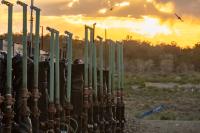 A row of wellheads stands silhouetted against a sunset sky, birds soar above a landscape of trees and shrubs.