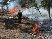 BLM-WY-PrescribedFire