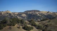 Rolling hills covered with patches of green trees and dry grass under a clear blue sky.