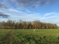 Stewar Pond Disc Golf Course