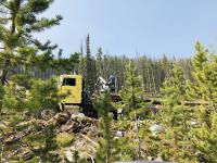 Yellow logging truck parked in a forest clearing surrounded by pine trees and scattered logs under a clear blue sky.