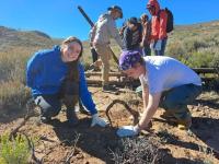 Group of people outdoors planting or digging in dry, shrub-covered terrain under clear blue sky.