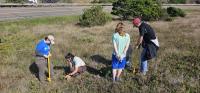 Volunteers planting with BLM staff at a past service day