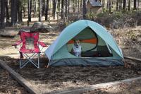 dog sitting in a tent on a tent pad in a campground, with a red camp chair and trees in the background