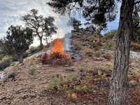 A small brush pile burning on a hillside.