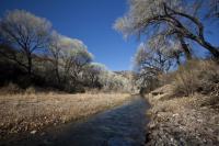 A small river flows between two banks with desert scrub brush and trees on either side.