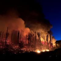 prescribed burn at night with flames and fire with trees on the horizon