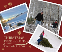 BLM-WY-ChristmasTreePermit