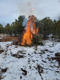Vegetation pile on fire burning surrounded by snow