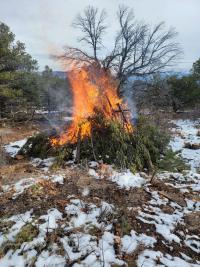 Vegetation pile burning surrounded by snow