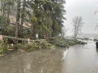Downed trees and flooding damage at Killarney Lake Recreation Area due to storm.