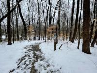 An empty hiking trail running through a snowy winter landscape with bare trees